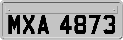 MXA4873