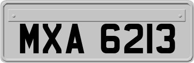 MXA6213
