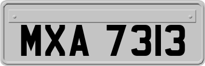 MXA7313