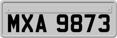 MXA9873