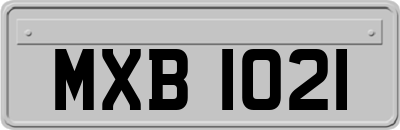 MXB1021