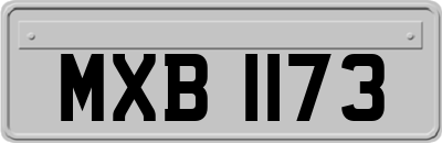 MXB1173