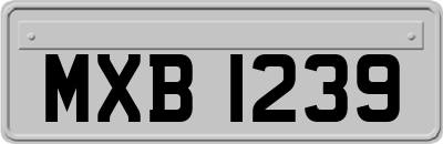 MXB1239