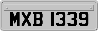 MXB1339