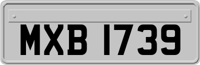 MXB1739