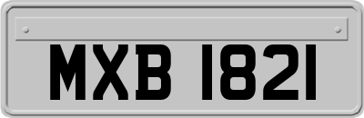 MXB1821