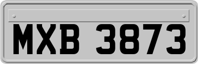 MXB3873