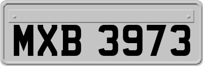 MXB3973