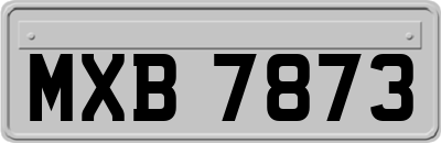 MXB7873