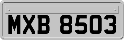 MXB8503