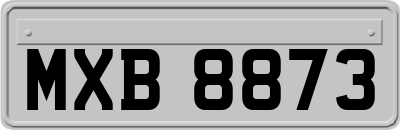 MXB8873