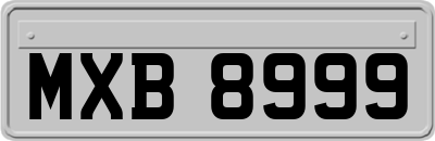 MXB8999