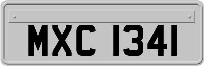 MXC1341