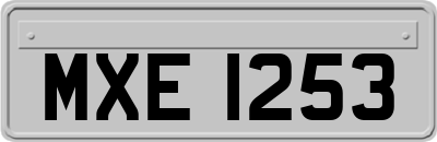 MXE1253
