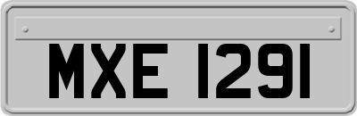 MXE1291