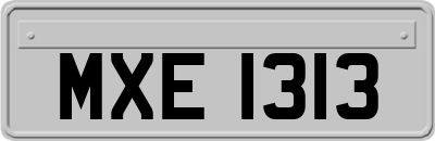 MXE1313