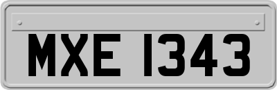 MXE1343