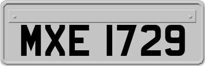 MXE1729