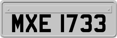 MXE1733