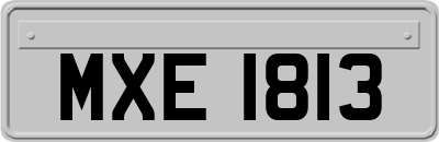 MXE1813
