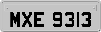 MXE9313