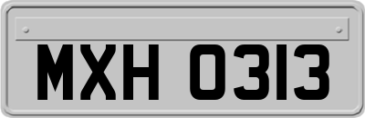 MXH0313