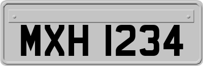 MXH1234