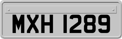 MXH1289