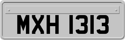 MXH1313