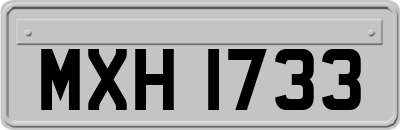 MXH1733