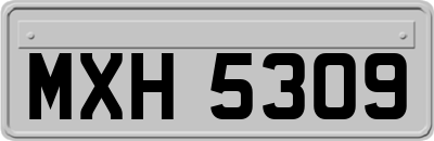 MXH5309