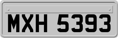 MXH5393