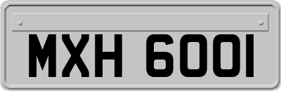 MXH6001