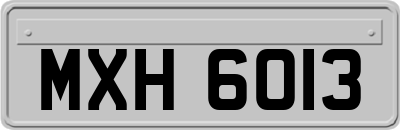 MXH6013