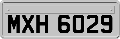 MXH6029