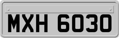 MXH6030