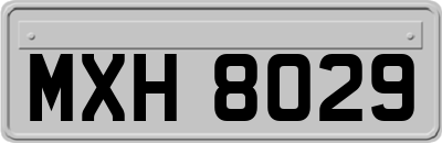 MXH8029