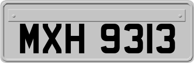 MXH9313