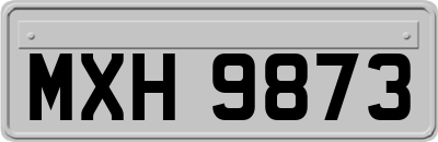 MXH9873