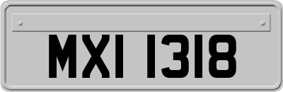 MXI1318