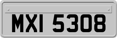 MXI5308