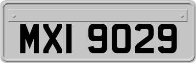 MXI9029