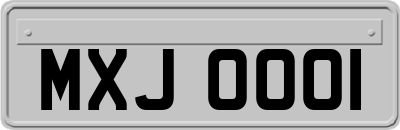 MXJ0001