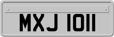 MXJ1011