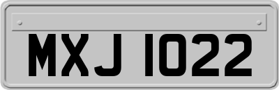 MXJ1022