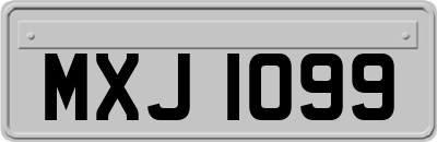 MXJ1099