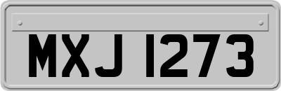 MXJ1273