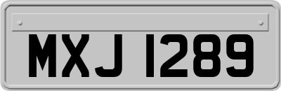 MXJ1289