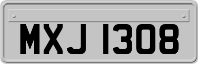 MXJ1308