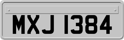 MXJ1384